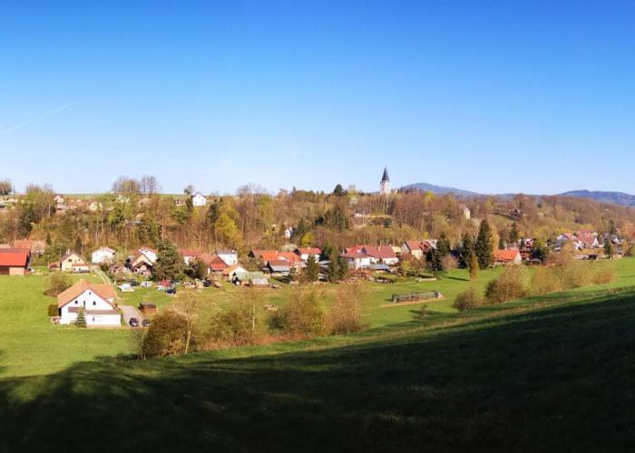 Unsere Ferienwohnung Stefan Im Riesengebirge! Dolni Lanov Экстерьер фото